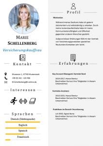 Lebenslauf mit Icons als Download: Die Bewerbungsvorlage „Attention Express“ vermittelt mit wenigen Worten alle relevanten Kenntnisse und Erfahrungen. Die grafischen Icons erleichtern Personalern die Sichtung und beschleunigen so die Inhaltsvermittlung. Lebenslauf, CV, Bewerbungsvorlage für die moderne Bewerbung als Download.
