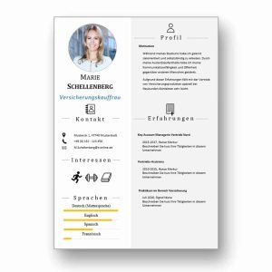 Lebenslauf mit Icons als Download: Die Bewerbungsvorlage „Attention Express“ vermittelt mit wenigen Worten alle relevanten Kenntnisse und Erfahrungen. Die grafischen Icons erleichtern Personalern die Sichtung und beschleunigen so die Inhaltsvermittlung. Lebenslauf, CV, Bewerbungsvorlage für die moderne Bewerbung als Download.