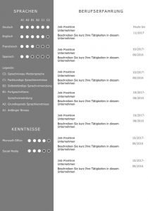 CV Lebenslaufvorlage für viel Berufserfahrung. Highlights: + 6 Seiten + unterstützt Europäischen Referenzrahmen für Sprachen (GER) + STARMAZING®-Easy-Edit-Architektur (spart viel Zeit beim Bearbeiten mit Word) + Eindrucksvolle Farben optimiert für Export als PDF und für Ausdrucke + Als deutsche Bewerbungsvorlage, EU und Schweizer Lebenslauf einsetzbar. Download für Windows Word und MacOS Pages.
