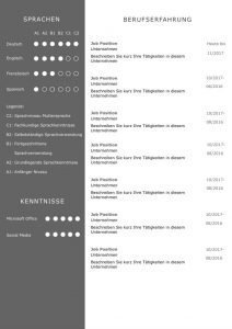 CV Lebenslaufvorlage für viel Berufserfahrung. Highlights: + 6 Seiten + unterstützt Europäischen Referenzrahmen für Sprachen (GER) + STARMAZING®-Easy-Edit-Architektur (spart viel Zeit beim Bearbeiten mit Word) + Eindrucksvolle Farben optimiert für Export als PDF und für Ausdrucke + Als deutsche Bewerbungsvorlage, EU und Schweizer Lebenslauf einsetzbar. Download für Windows Word und MacOS Pages.