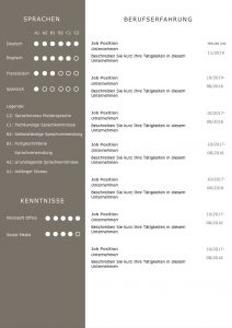 CV Lebenslaufvorlage für viel Berufserfahrung. Highlights: + 6 Seiten + unterstützt Europäischen Referenzrahmen für Sprachen (GER) + STARMAZING®-Easy-Edit-Architektur (spart viel Zeit beim Bearbeiten mit Word) + Eindrucksvolle Farben optimiert für Export als PDF und für Ausdrucke + Als deutsche Bewerbungsvorlage, EU und Schweizer Lebenslauf einsetzbar. Download für Windows Word und MacOS Pages.