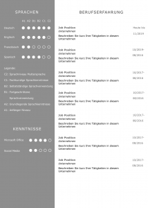 Perfektes CV Layout Design in sehr eleganter und moderner Farbabstimmung: So gewinnt ein Personaler sofort einen positiven Eindruck: Lebenslauf, Ausbildung, Auslandserfahrung, Bewerbungsanschreiben, Praktikum, Sprachen, Charaktereigenschaften, Referenzen, Auszeichnungen auf einen Blick perfekt dargestellt. Das Anschreiben nach DIN 5008 Norm ein Beweis, dass der Bewerber Geschäftskorrespondenz bis ins letzte Detail beherrscht.