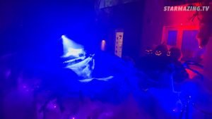Vorgarten Halloween in Mönchengladbach: Lebendige Kürbisse im blauen Nebel und Spinnenweben
