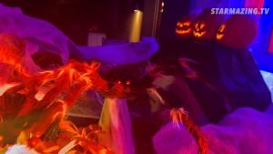 Vorgarten Halloween Rheydt: Riesige Springspinne hält lebendige Kürbisse im Netz gefangen