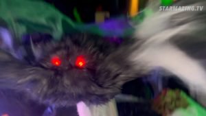 Riesen-Tarantula mit leuchtend roten Augen setzt zum Sprung an, um die Kinder auf dem roten Teppich zur Candybar beim Vorgarten Halloween in Mönchengladbach Rheydt zu erschrecken.